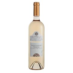 Bottega pinot grigio usato  Spedito ovunque in Italia 