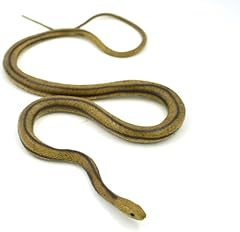 Mamejo lifelike rubber for sale  Delivered anywhere in USA 