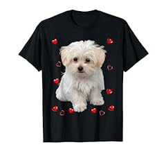 Maltese dog lover for sale  Delivered anywhere in USA 