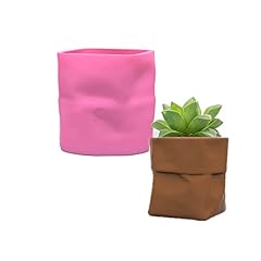 Pocket shape succulent for sale  Delivered anywhere in USA 