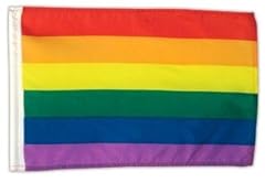 Regenbogenfahne gayflag 45 gebraucht kaufen  Wird an jeden Ort in Deutschland