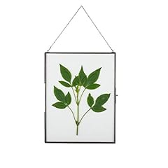 Ncyp hanging x10 for sale  Delivered anywhere in USA 