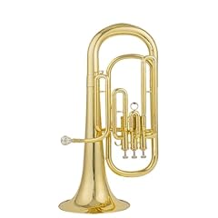 Tuba con corno usato  Spedito ovunque in Italia 