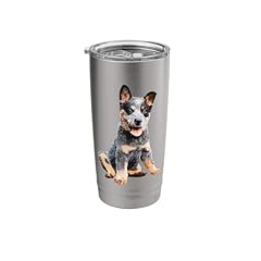 Australian cattle dog for sale  Delivered anywhere in USA 