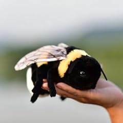 Tammyflyfly soft bee for sale  Delivered anywhere in USA 