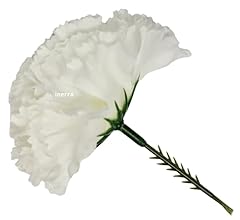 Inerra carnation picks for sale  Delivered anywhere in UK