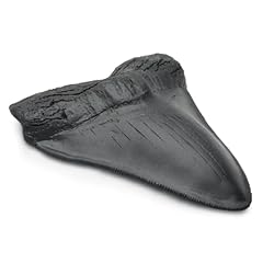 Carcharodon megalodon giant for sale  Delivered anywhere in USA 