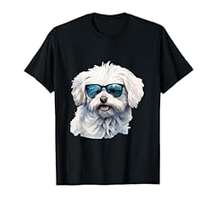 Cool coton tulear d'occasion  Livré partout en France