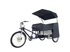 Cozytrikes electric pedicab for sale  Delivered anywhere in USA 