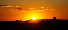 Muecddoa coucher soleil d'occasion  Livré partout en France
