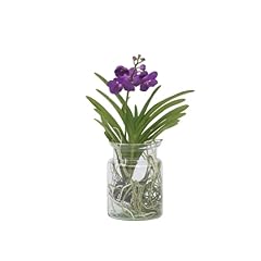 Plant box vanda usato  Spedito ovunque in Italia 