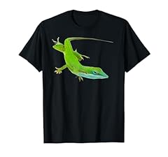 Green anole chameleon for sale  Delivered anywhere in USA 