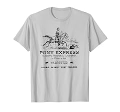 Pony express riders for sale  Delivered anywhere in USA 