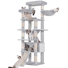 Heybly tall cat for sale  Delivered anywhere in USA 