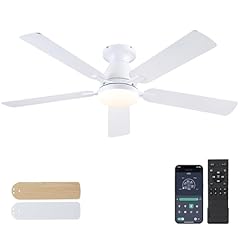 Ceiling fans lights for sale  Delivered anywhere in USA 