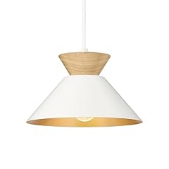 Elyona modern pendant for sale  Delivered anywhere in USA 