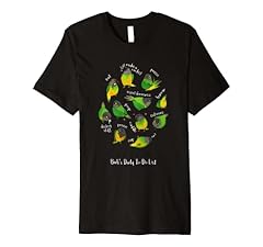 Senegal parrot daily for sale  Delivered anywhere in USA 