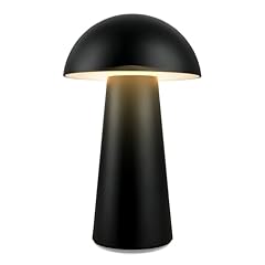 Briloner led mini gebraucht kaufen  Wird an jeden Ort in Deutschland