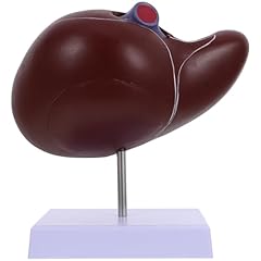 Topperfun liver display for sale  Delivered anywhere in USA 