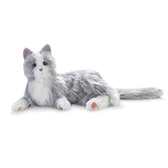 Joy companion pet for sale  Delivered anywhere in USA 