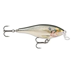 Rapala shallow shad for sale  Delivered anywhere in USA 