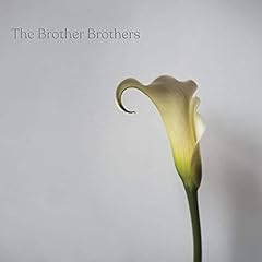 Calla lily for sale  Delivered anywhere in Ireland