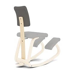 Dossier rembourré ergonomique d'occasion  Livré partout en France