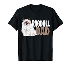 Ragdoll gatto papà usato  Spedito ovunque in Italia 