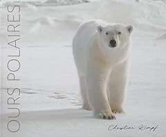 ours polaires sevres d'occasion  Livré partout en France