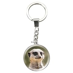 Deluxebase magnidome keychains for sale  Delivered anywhere in UK