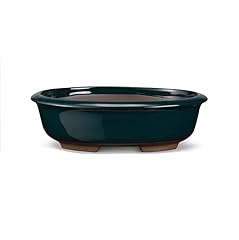 Certrè vaso bonsai usato  Spedito ovunque in Italia 