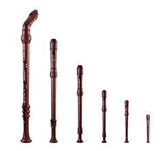Smartwoodi recorder set for sale  Delivered anywhere in USA 
