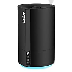 Sejoy umidificatore ambiente usato  Spedito ovunque in Italia 