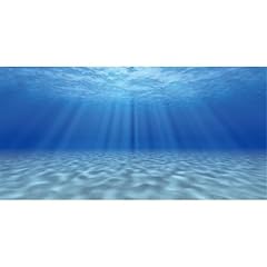 Awert ocean floor for sale  Delivered anywhere in USA 