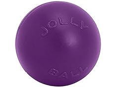Jolly pets push for sale  Delivered anywhere in UK