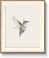 Astrdecor hummingbird wall for sale  Delivered anywhere in USA 