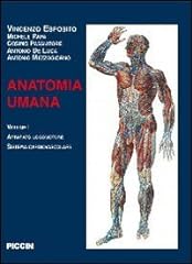 Anatomia umana volumi usato  Spedito ovunque in Italia 