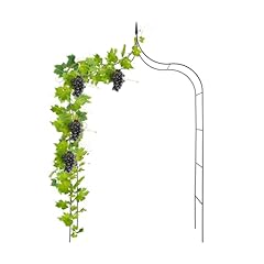 Peach tree outdoor for sale  Delivered anywhere in USA 