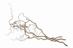 Nadeco korkenzieher zweig gebraucht kaufen  Wird an jeden Ort in Deutschland