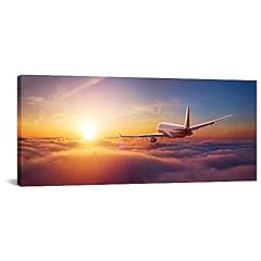 Canvbay airplane wall for sale  Delivered anywhere in USA 