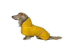 Hudson hound dachshund for sale  Delivered anywhere in USA 