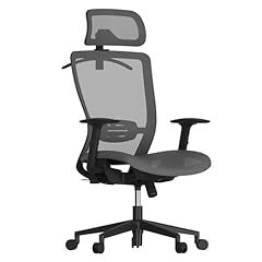 Flexispot ergonomic office for sale  Delivered anywhere in USA 