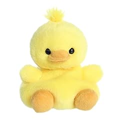 Aurora adorable palm for sale  Delivered anywhere in USA 