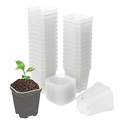 Foxany clear nursery for sale  Delivered anywhere in USA 