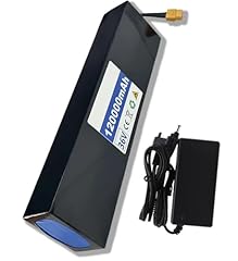 Batteria ebike batteria usato  Spedito ovunque in Italia 