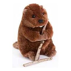 Douglas buddy beaver for sale  Delivered anywhere in USA 