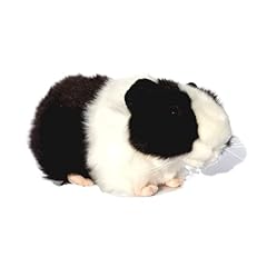 Lilizzhoumax meerschweinchen p gebraucht kaufen  Wird an jeden Ort in Deutschland