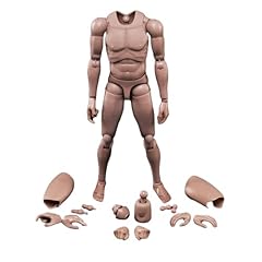 Scale male body for sale  Delivered anywhere in UK