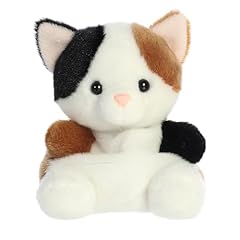 Aurora adorable palm for sale  Delivered anywhere in USA 