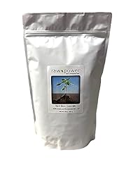 Raw power rice for sale  Delivered anywhere in USA 